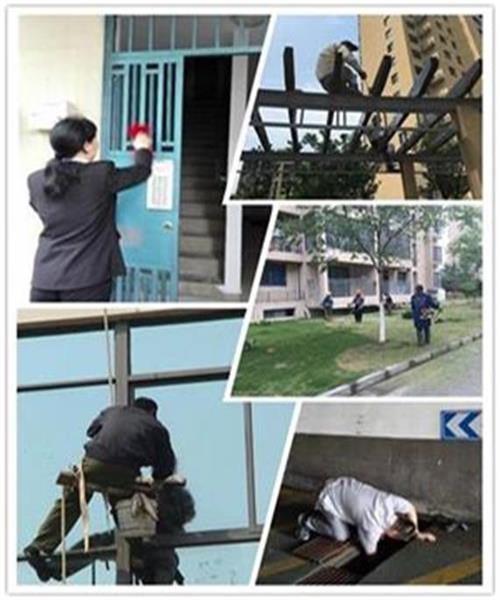 創(chuàng  )平安、美麗家園